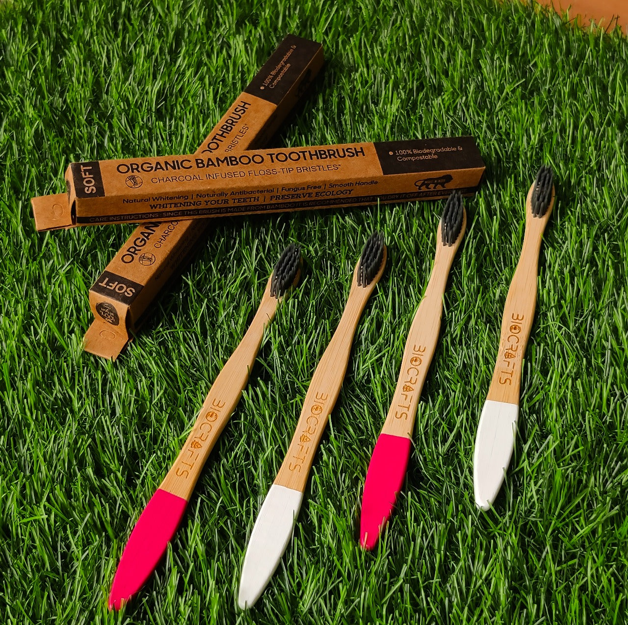 Bottom paint tooth Brushes